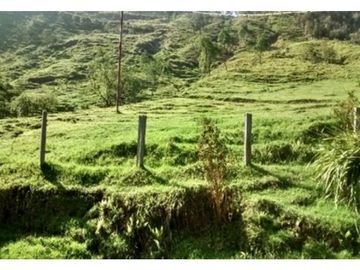 FINCA EN VENTA TENERIFE EL CERRITO VALLE DEL CAUCA
