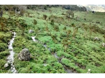 FINCA EN VENTA TENERIFE EL CERRITO VALLE DEL CAUCA