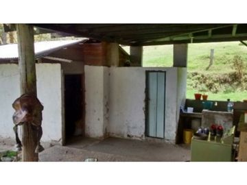FINCA EN VENTA TENERIFE EL CERRITO VALLE DEL CAUCA