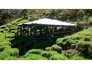 FINCA EN VENTA TENERIFE EL CERRITO VALLE DEL CAUCA