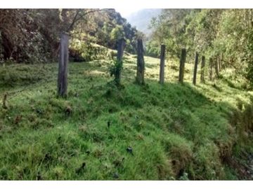 FINCA EN VENTA TENERIFE EL CERRITO VALLE DEL CAUCA