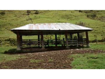 FINCA EN VENTA TENERIFE EL CERRITO VALLE DEL CAUCA