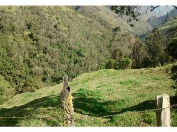 FINCA EN VENTA TENERIFE EL CERRITO VALLE DEL CAUCA