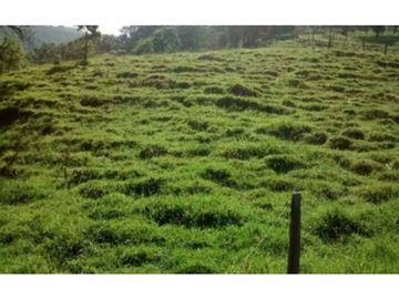 FINCA EN VENTA TENERIFE EL CERRITO VALLE DEL CAUCA