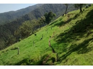 FINCA EN VENTA TENERIFE EL CERRITO VALLE DEL CAUCA