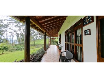 VENDO FINCA VENECIA ANTIOQUIA