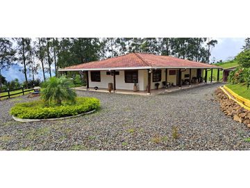 VENDO FINCA VENECIA ANTIOQUIA