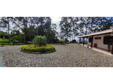 VENDO FINCA VENECIA ANTIOQUIA