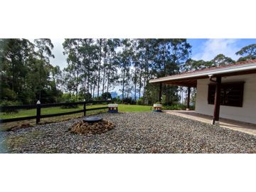 VENDO FINCA VENECIA ANTIOQUIA