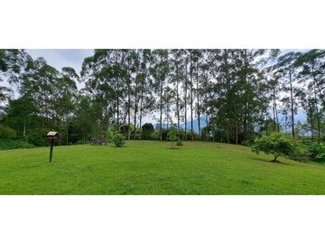 VENDO FINCA VENECIA ANTIOQUIA