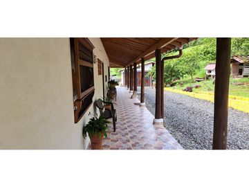 VENDO FINCA VENECIA ANTIOQUIA