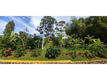 VENDO FINCA VENECIA ANTIOQUIA