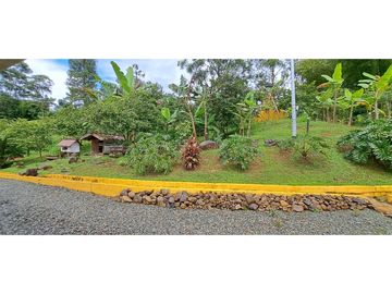 VENDO FINCA VENECIA ANTIOQUIA