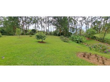 VENDO FINCA VENECIA ANTIOQUIA