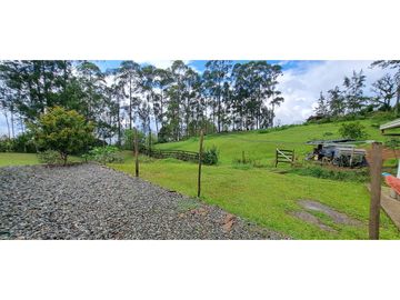 VENDO FINCA VENECIA ANTIOQUIA