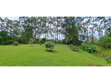 VENDO FINCA VENECIA ANTIOQUIA