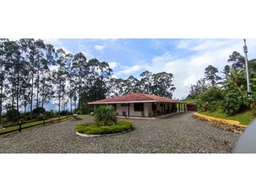 VENDO FINCA VENECIA ANTIOQUIA
