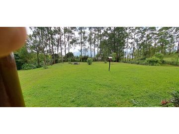 VENDO FINCA VENECIA ANTIOQUIA