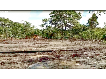 Venta Terreno 42,120M2 en Paso Canoas a metros Frontera Pmá-Costa Rica