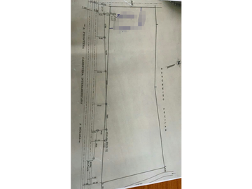 Venta Terreno 42,120M2 en Paso Canoas a metros Frontera Pmá-Costa Rica