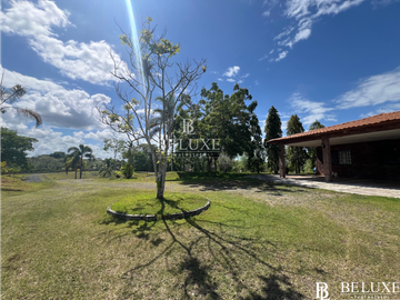 VENDO TERRENO FINCA EN CHORRERA (7)