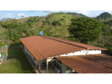 CAPIRA / CIRI GRANDE / FINCA / 1.5 HECTAREA