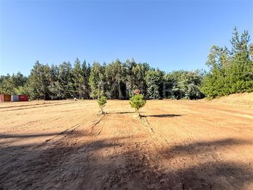 Casa en Venta en Camino a Cabrero antes del Peaje