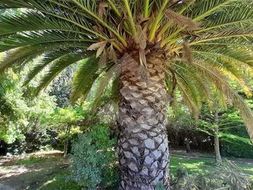 Parcela en Venta en Camino a Huelquén