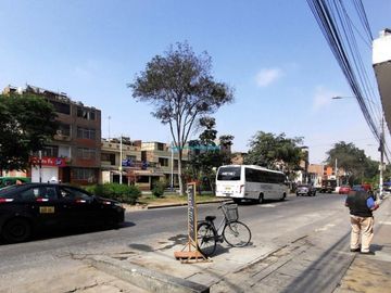 Locales Comerciales Venta CAL. Los Jardines - SAN MARTIN DE PORRES