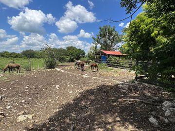 Quinta en Venta en PANABA Yucatan