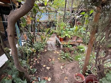 Casa en Venta en 9 de enero 02752