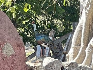 Rancho Histórico en venta en Kimbilá, Yucatán