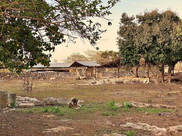 Rancho Histórico en venta en Kimbilá, Yucatán