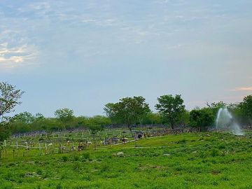 Rancho Histórico en venta en Kimbilá, Yucatán
