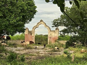 Rancho Histórico en venta en Kimbilá, Yucatán