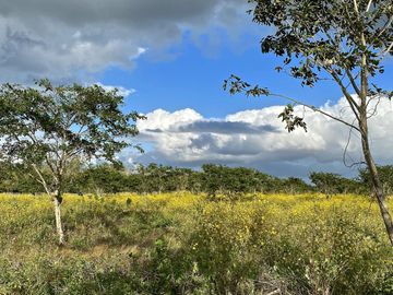 Rancho Histórico en venta en Kimbilá, Yucatán