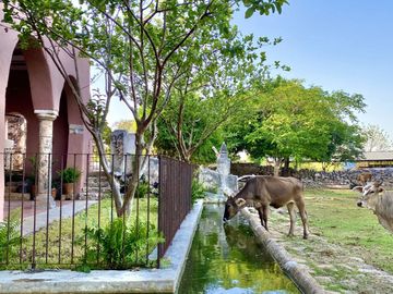 Rancho Histórico en venta en Kimbilá, Yucatán