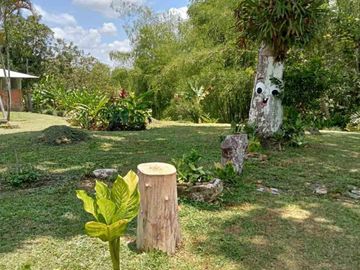 FINCA EN VENTA EN MONTENEGRO/ARMENIA
