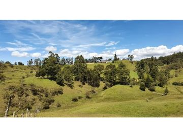 LOTE EN PARCELACION SAN VICENTE DE FERRER ANTIOQUIA