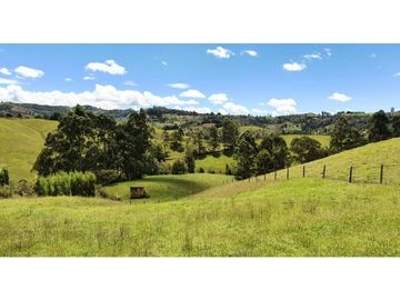 LOTE EN PARCELACION SAN VICENTE DE FERRER ANTIOQUIA