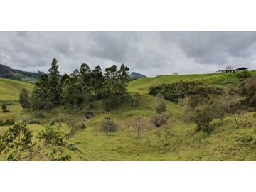 LOTE EN PARCELACION SAN VICENTE DE FERRER ANTIOQUIA