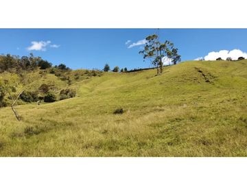 LOTE EN PARCELACION SAN VICENTE DE FERRER ANTIOQUIA