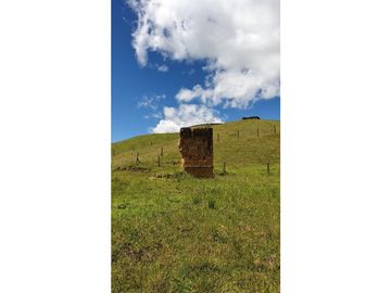 LOTE EN PARCELACION SAN VICENTE DE FERRER ANTIOQUIA