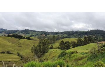 LOTE EN PARCELACION SAN VICENTE DE FERRER ANTIOQUIA
