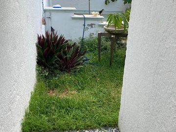 Casa en venta en Valladolid Yucatán