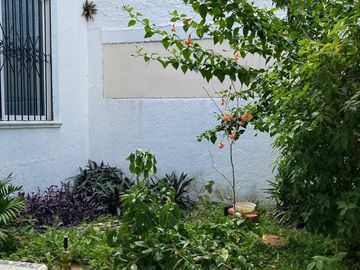 Casa en venta en Valladolid Yucatán