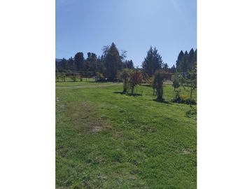 EN VENTA CHACRA DE 1 HA CON CASA EN LAS GOLONDRINAS CA 289