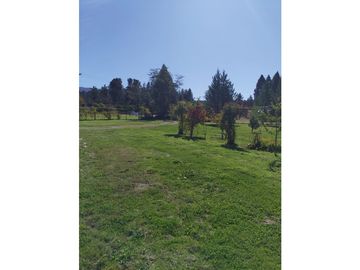 EN VENTA CHACRA DE 1 HA CON CASA EN LAS GOLONDRINAS CA 289