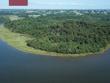 Sitio en Venta en mecura