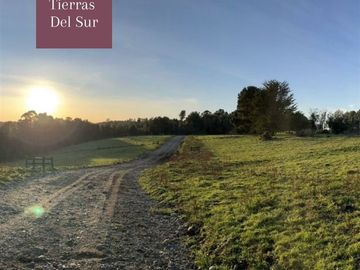 Sitio en Venta en mecura